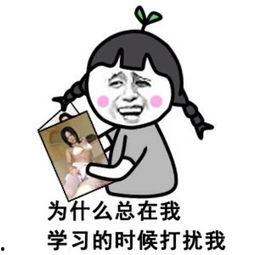 大快朵颐表情包,描绘美食诱惑的欢乐瞬间