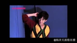 风滚杨花絮,一场春日浪漫盛宴