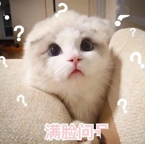 网红口罩问题多,网红口罩热潮背后的消费心理与市场现象解析