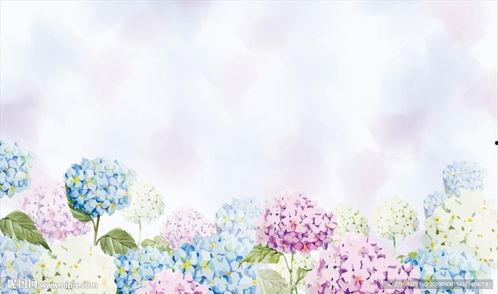 绣球花背景,绣球花映衬下的浪漫画卷