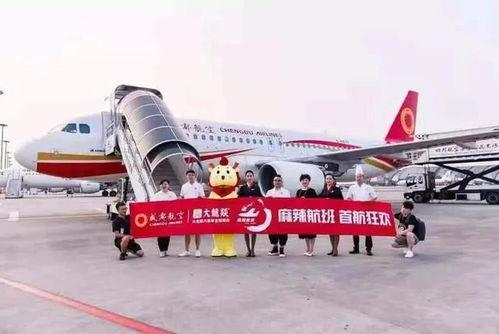 网红川航,空中奇遇记，揭秘民航界的“网红”传奇