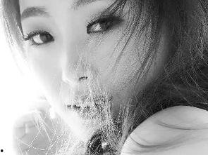 沙哥图片,探寻沙漠中的神秘生命印记