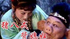 猪八戒背媳妇搞笑节目,笑料横生的奇幻之旅