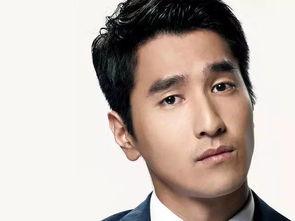 85后男明星,青春岁月里的璀璨星辰